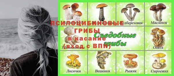 2c-b Михайлов