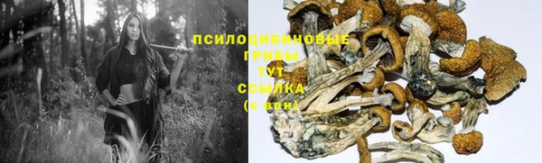 2c-b Михайлов