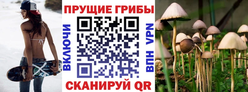 kraken сайт  Дыгулыбгей  Псилоцибиновые грибы Psilocybine cubensis  где купить наркотик 